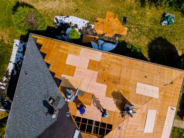 Best Commercial Roofing Services  in Pascagoula, MS