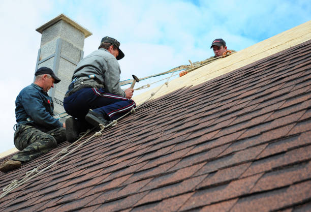 Professional Roofing Contractor in Pascagoula, MS